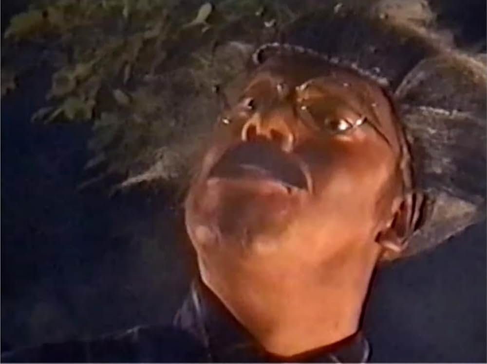 Mulva: Zombie Ass Kicker!（原題）の画像