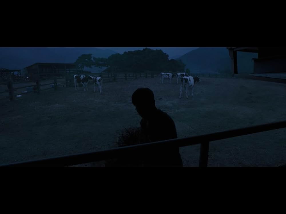 The Witch／魔女の画像