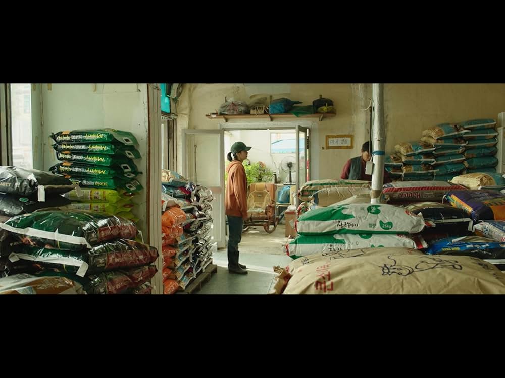 The Witch／魔女の画像