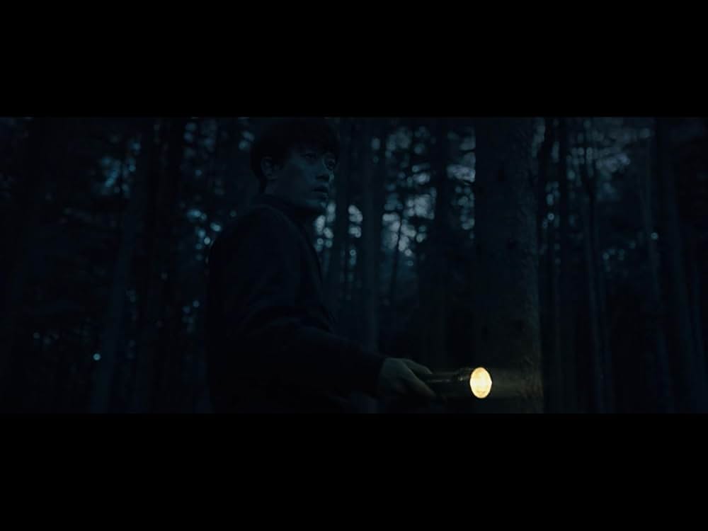 The Witch／魔女の画像