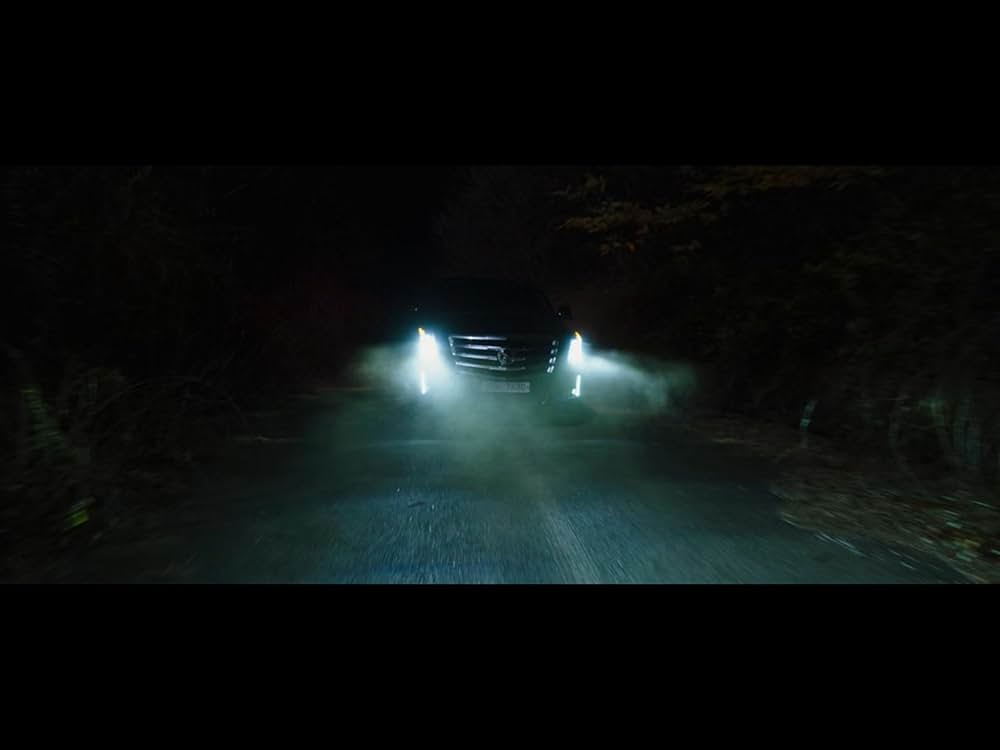 The Witch／魔女の画像