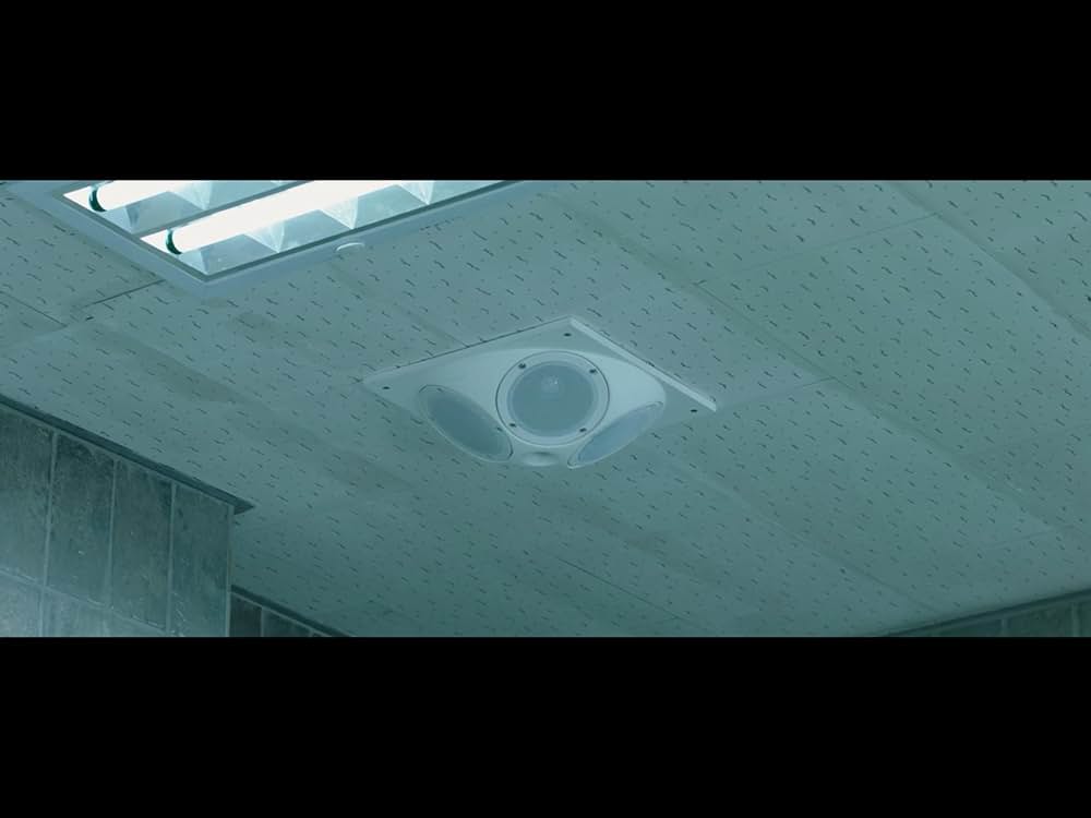 The Witch／魔女の画像