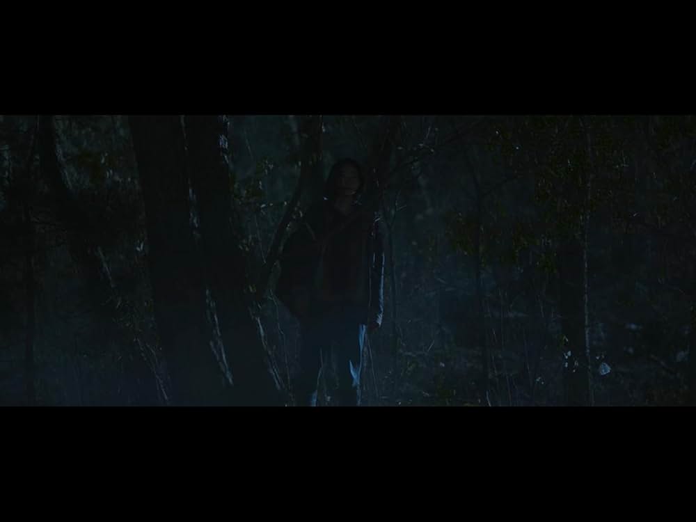 The Witch／魔女の画像