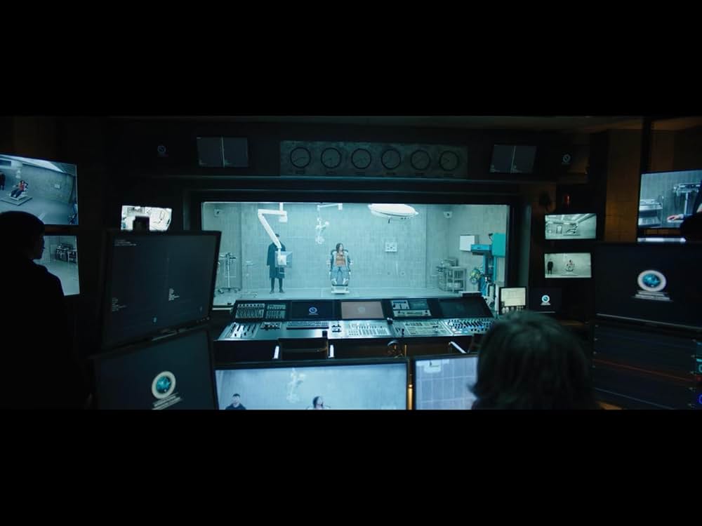 The Witch／魔女の画像