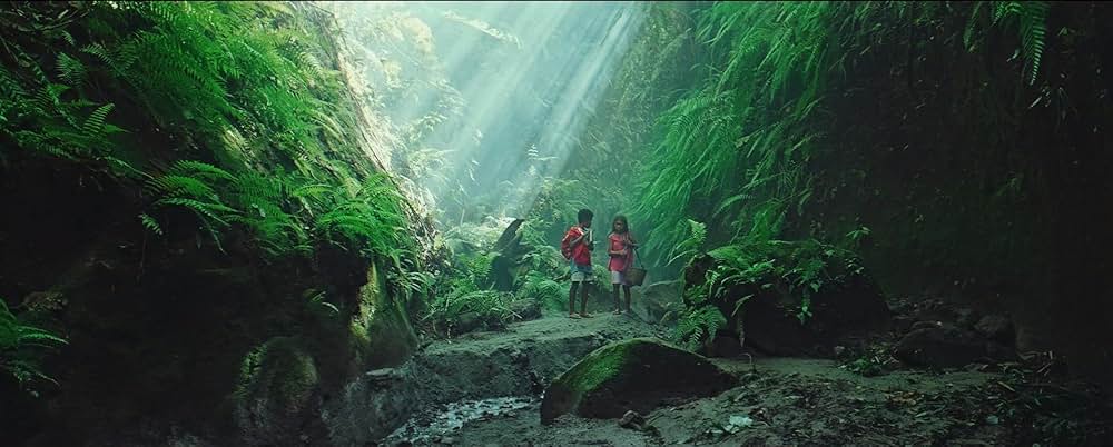 ブラックレインボーの写真