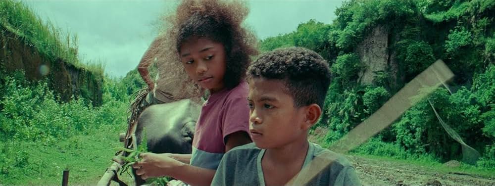 ブラックレインボーの画像