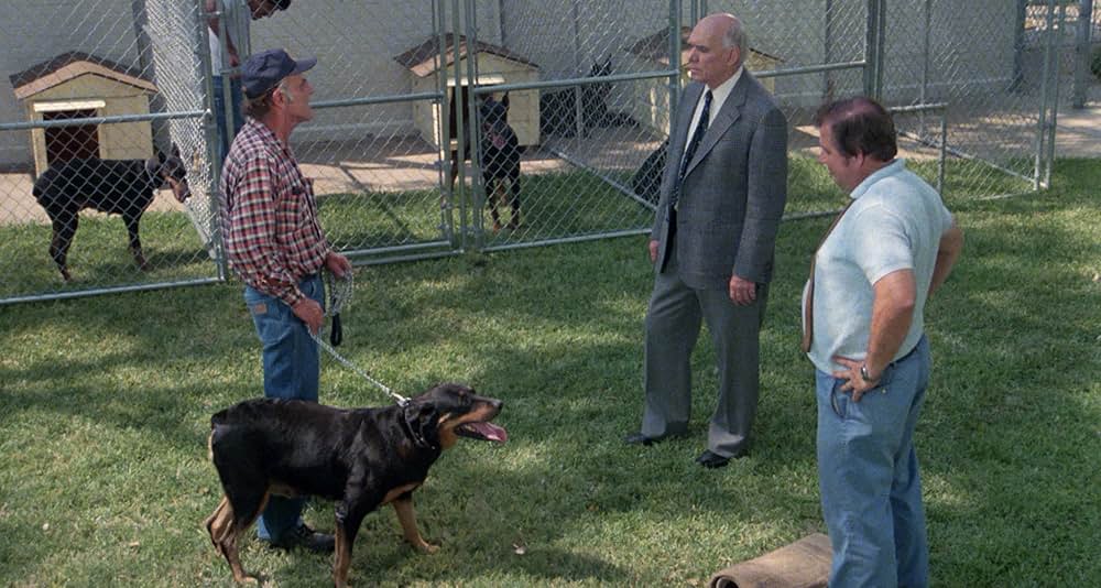 Play Dead（原題）の画像