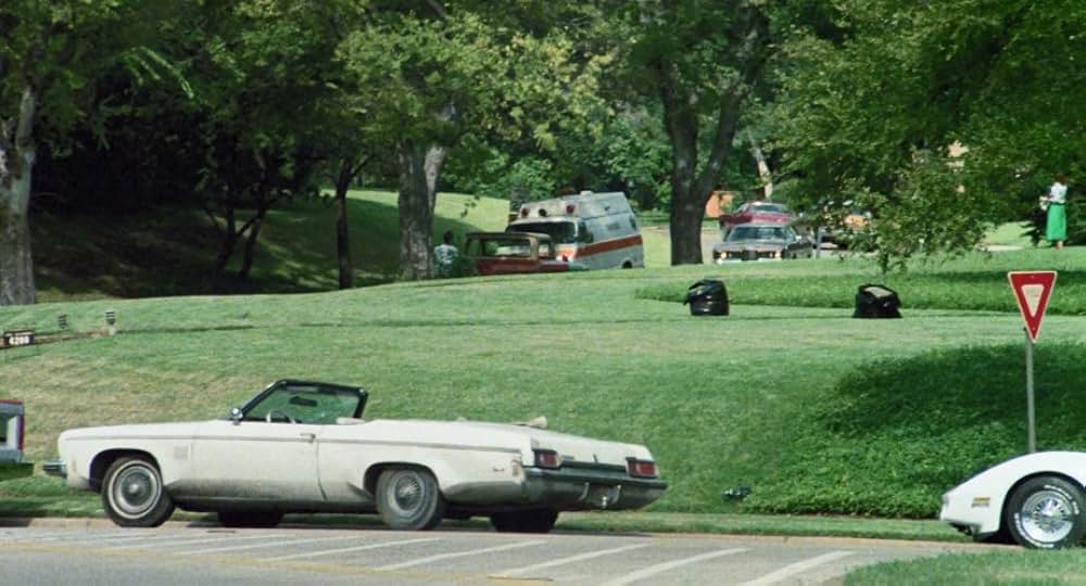 Play Dead（原題）の画像