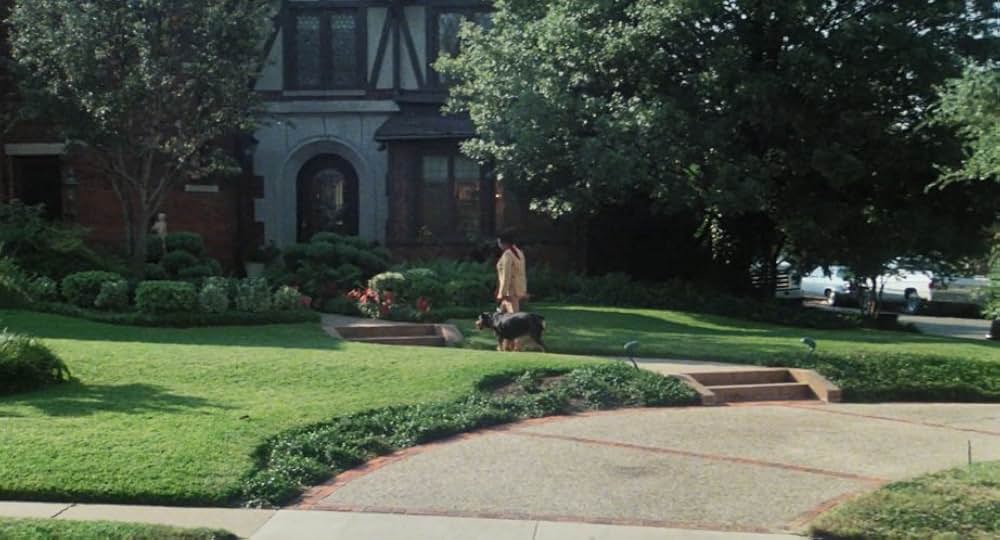 Play Dead（原題）の画像