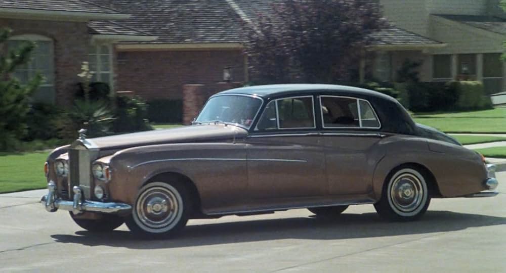 Play Dead（原題）の画像