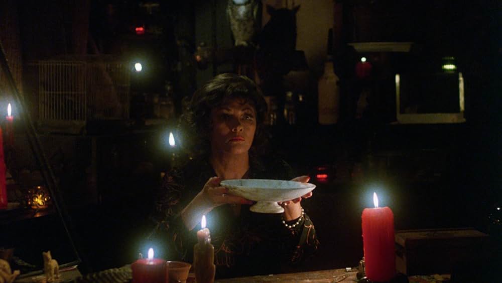 Play Dead（原題）の画像