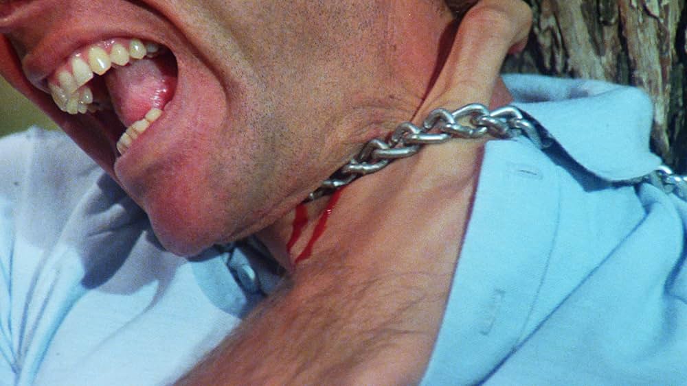 Play Dead（原題）の画像