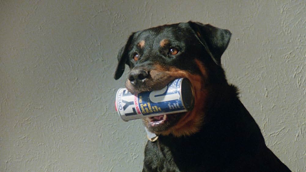 Play Dead（原題）の画像