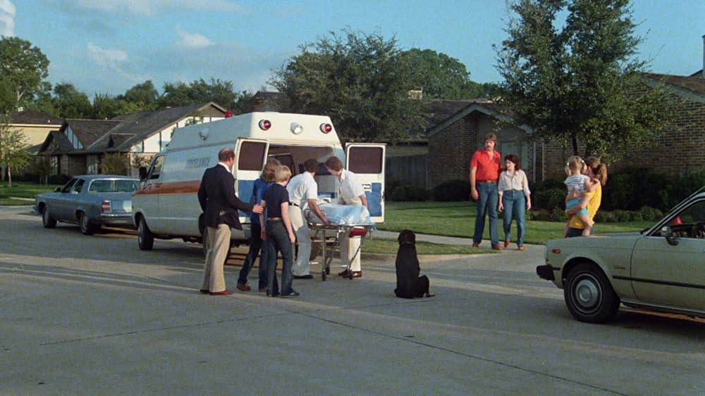 Play Dead（原題）の画像