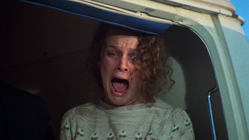 Play Dead（原題）の画像