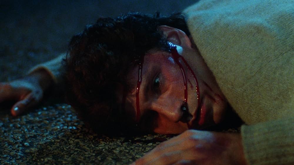 Play Dead（原題）の画像