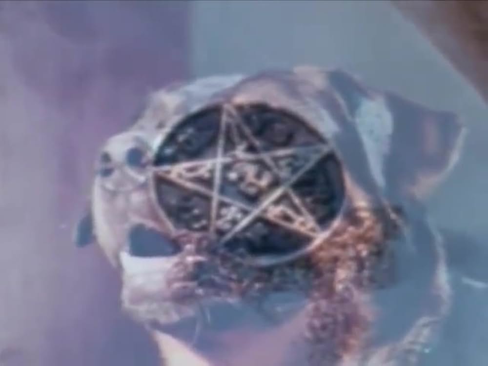 Play Dead（原題）の画像