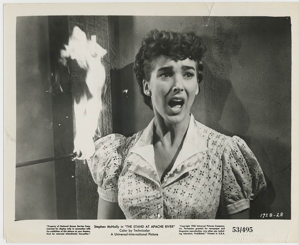 The Stand at Apache River（原題）の画像