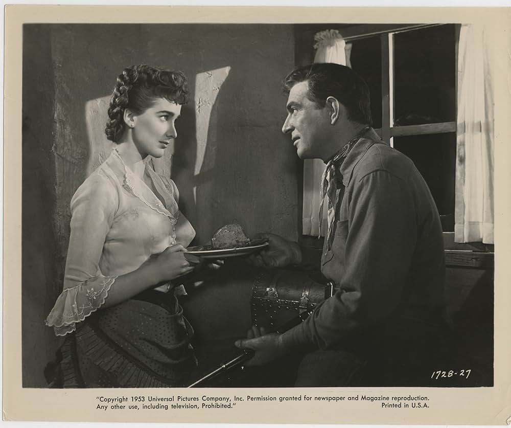 The Stand at Apache River（原題）の画像