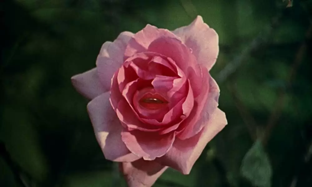 ロバと王女の画像