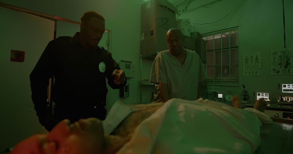 Rufus（原題）の画像