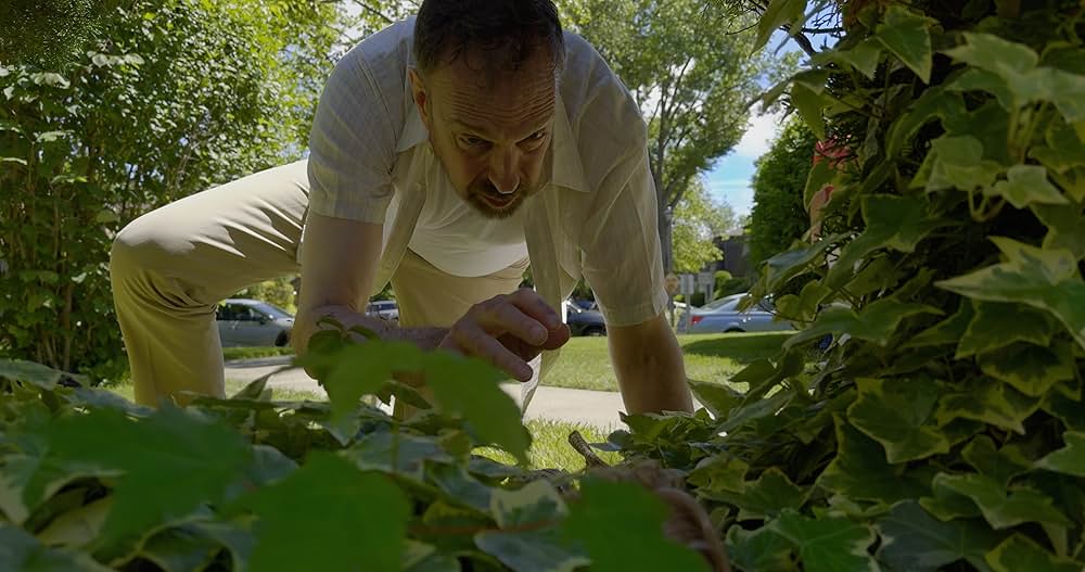 Rufus（原題）の画像