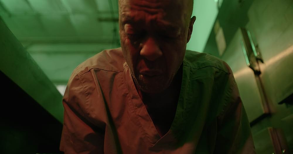 Rufus（原題）の画像