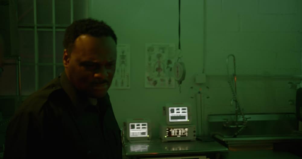 Rufus（原題）の画像