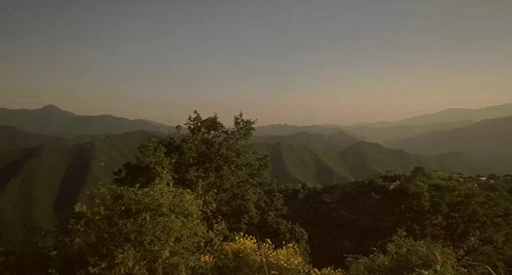 ミラノ、愛に生きるの画像