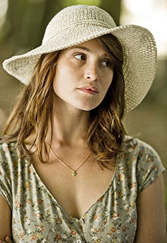 ボヴァリー夫人とパン屋の画像