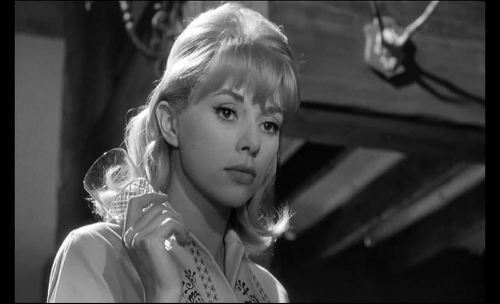 プイック・プイックの画像