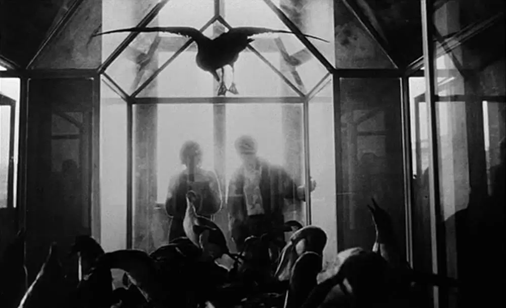 ラ・ジュテの画像