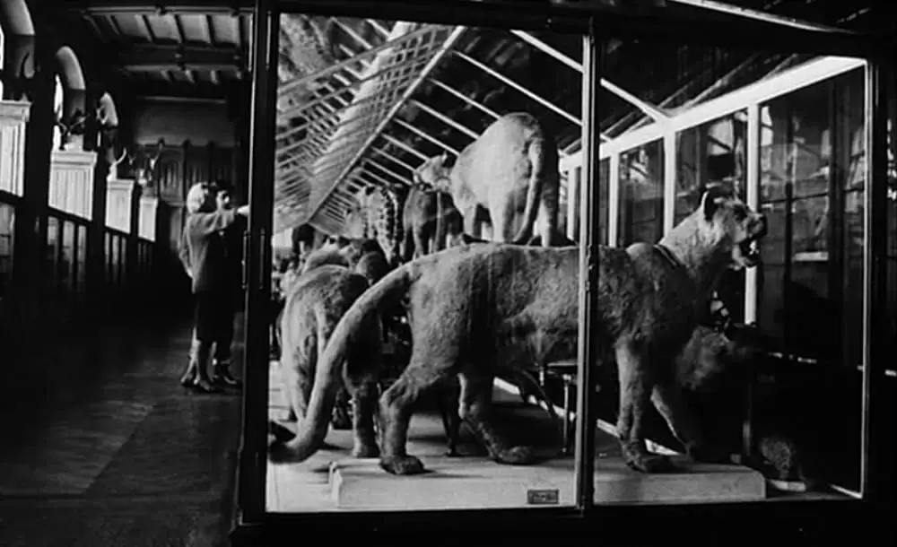 ラ・ジュテの画像