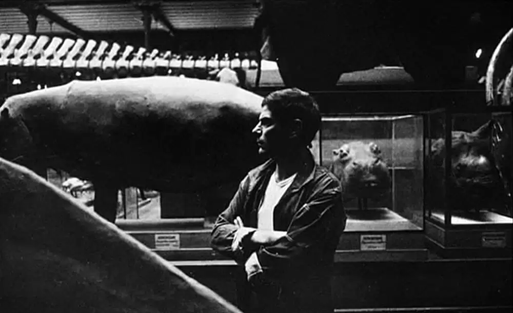 ラ・ジュテの画像