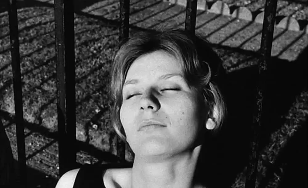 ラ・ジュテの画像