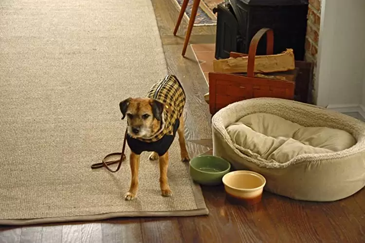 ニューヨーク 眺めのいい部屋売りますの画像