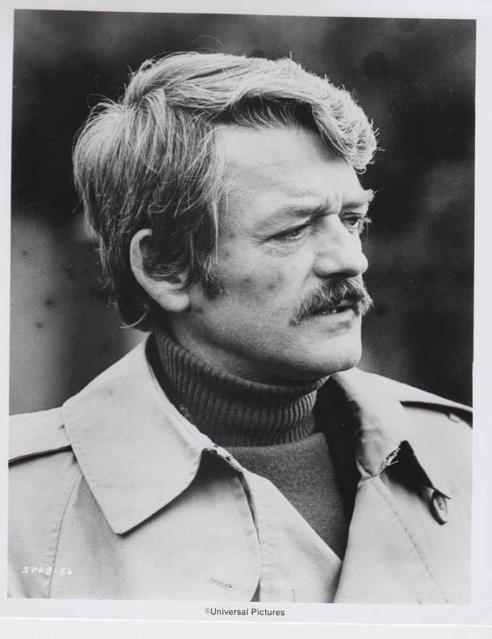 ペトロフカの娘の画像