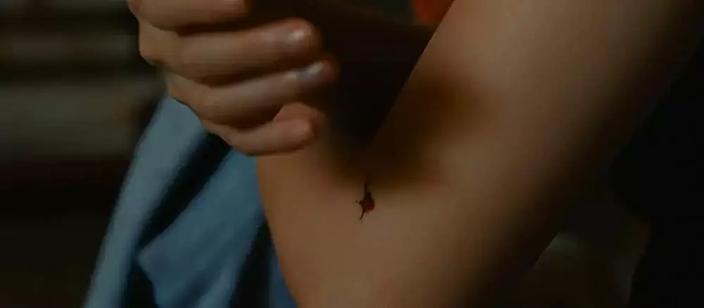 南瓜とマヨネーズの画像