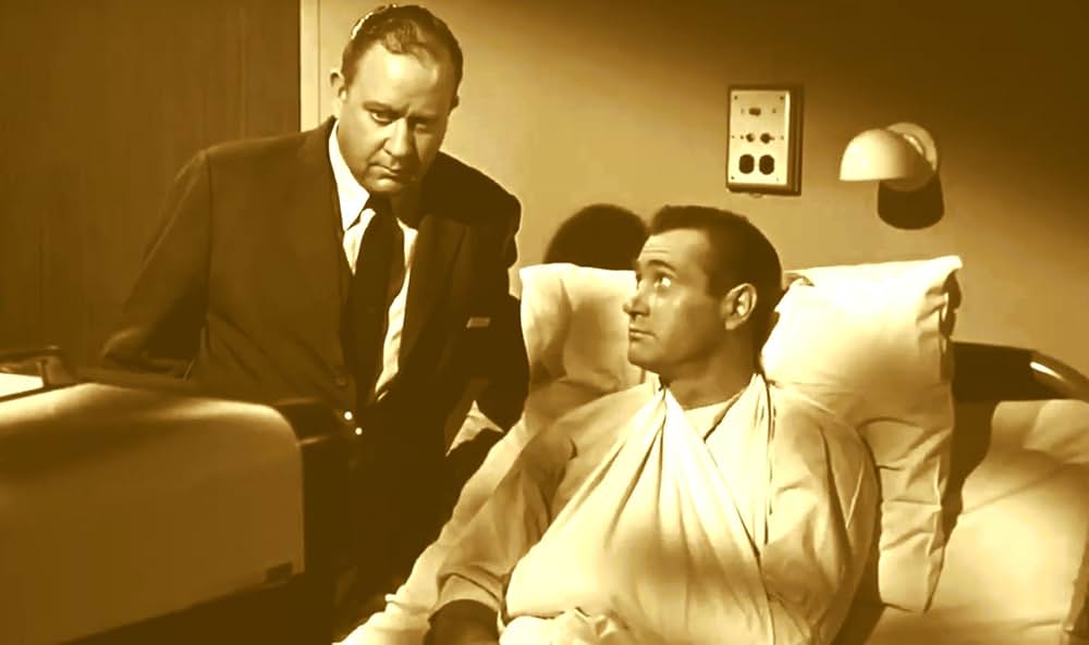 The Case Against Brooklyn（原題）の画像