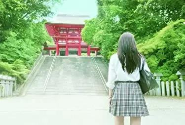 ちはやふる ー結びーの画像