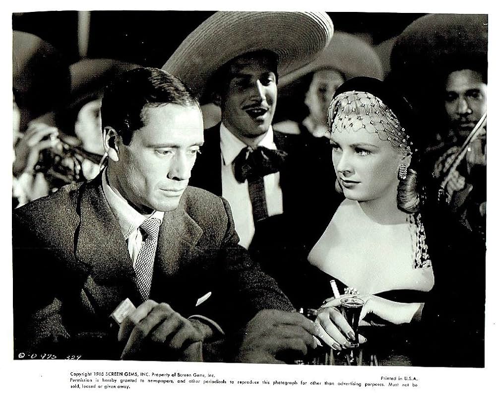 The Brave Bulls（原題）の画像