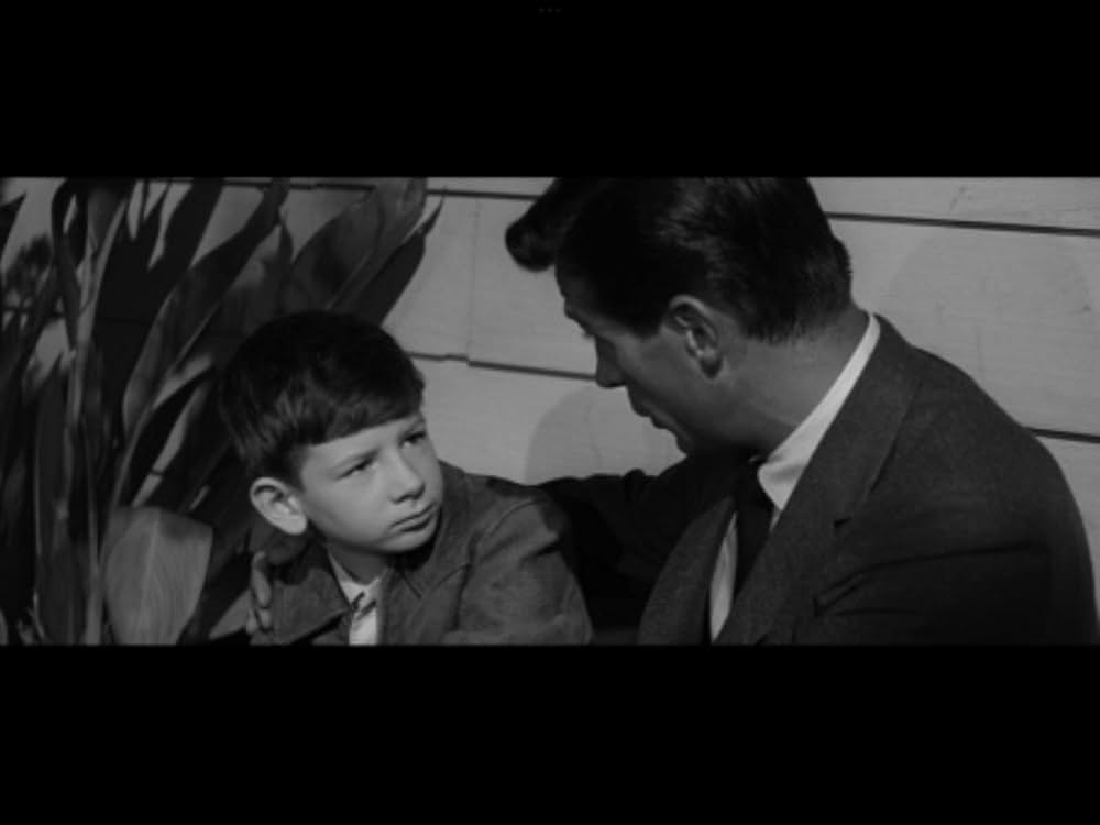 Man Afraid（原題）の画像