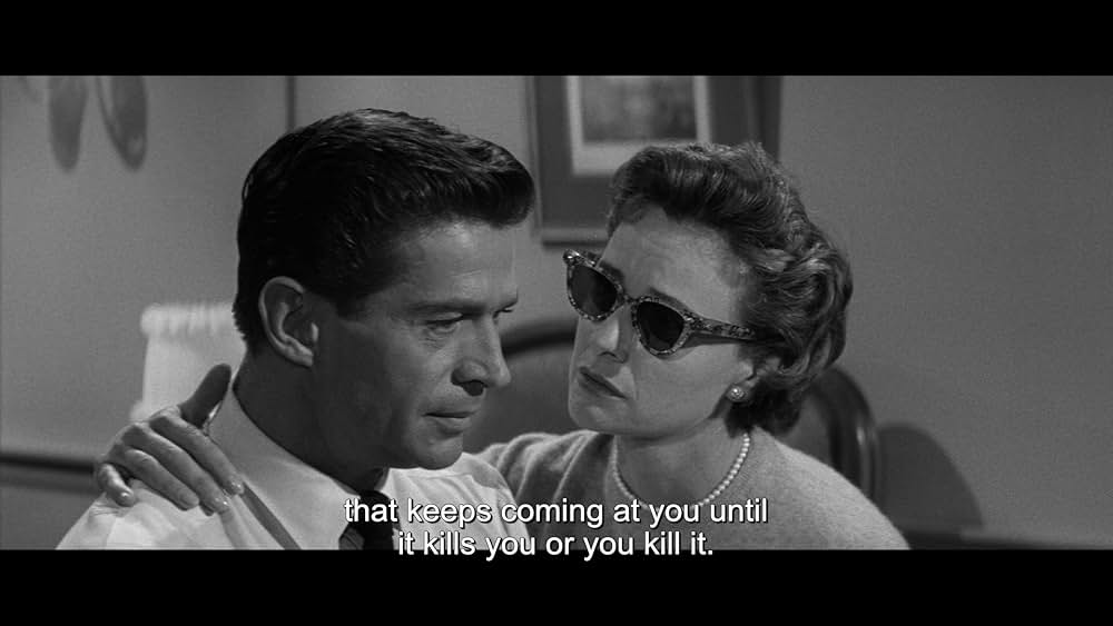 Man Afraid（原題）の画像