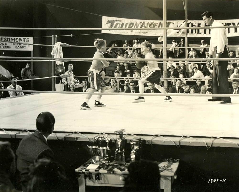 Man Afraid（原題）の画像