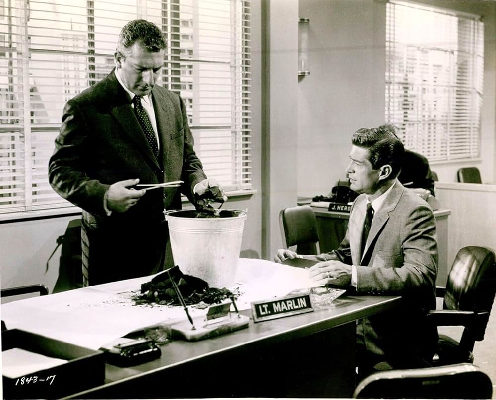 Man Afraid（原題）の画像