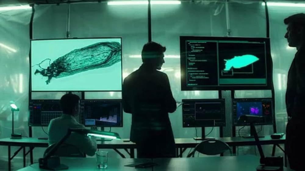 ターミニャスの画像