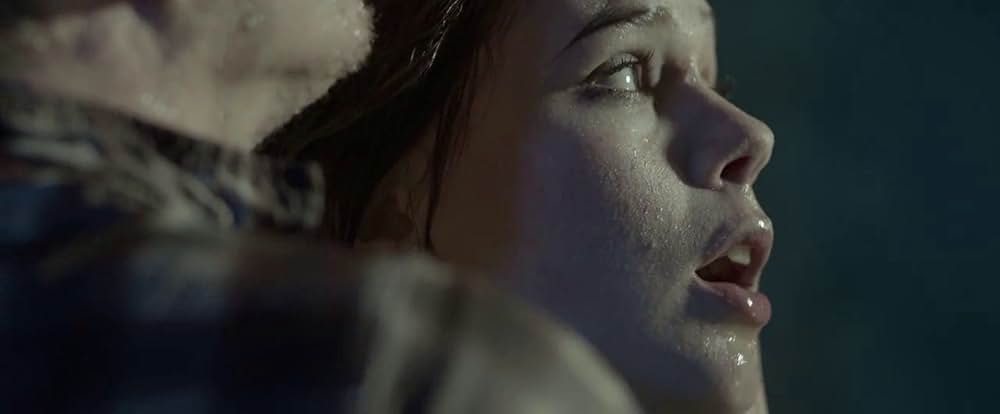 ターミニャスの画像