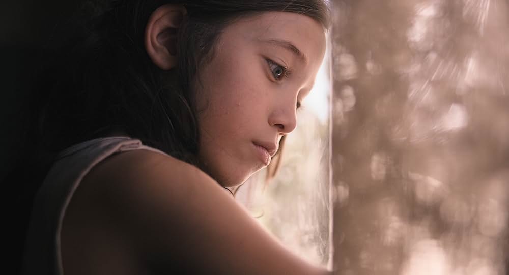 ターラビジョンの画像