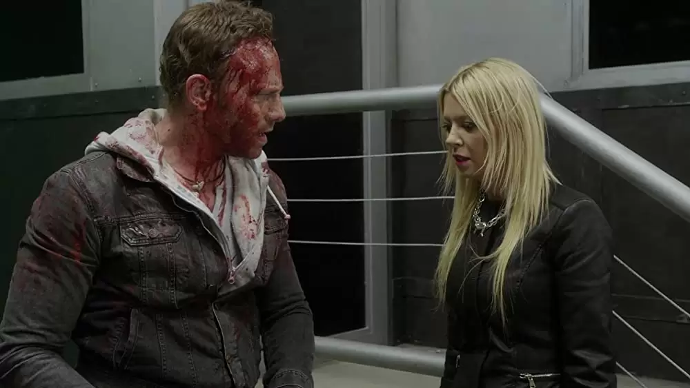 シャークネード カテゴリー2の画像