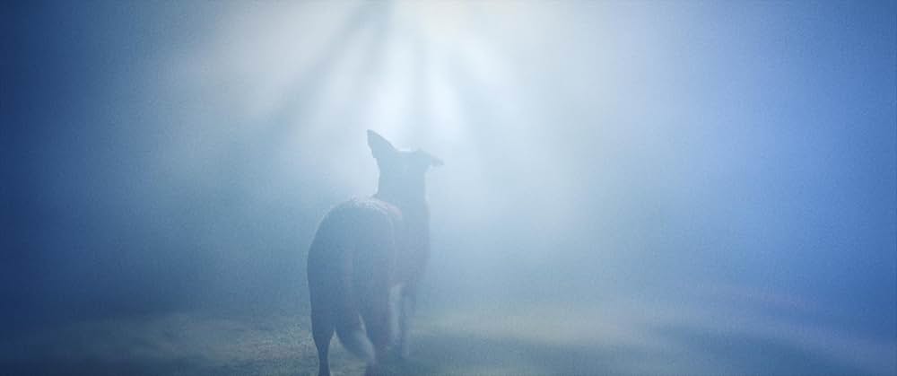 ゴーストハウスの番犬の写真